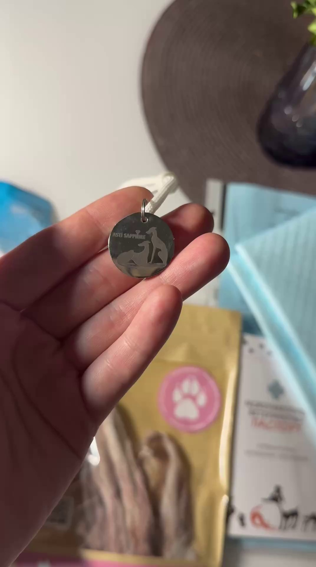 Доставка щенков по всему миру. Профессиональный питомник левреток РКФ/FCI ASTI SAPPHIRE 💎 Сочи|Санкт-Петербург