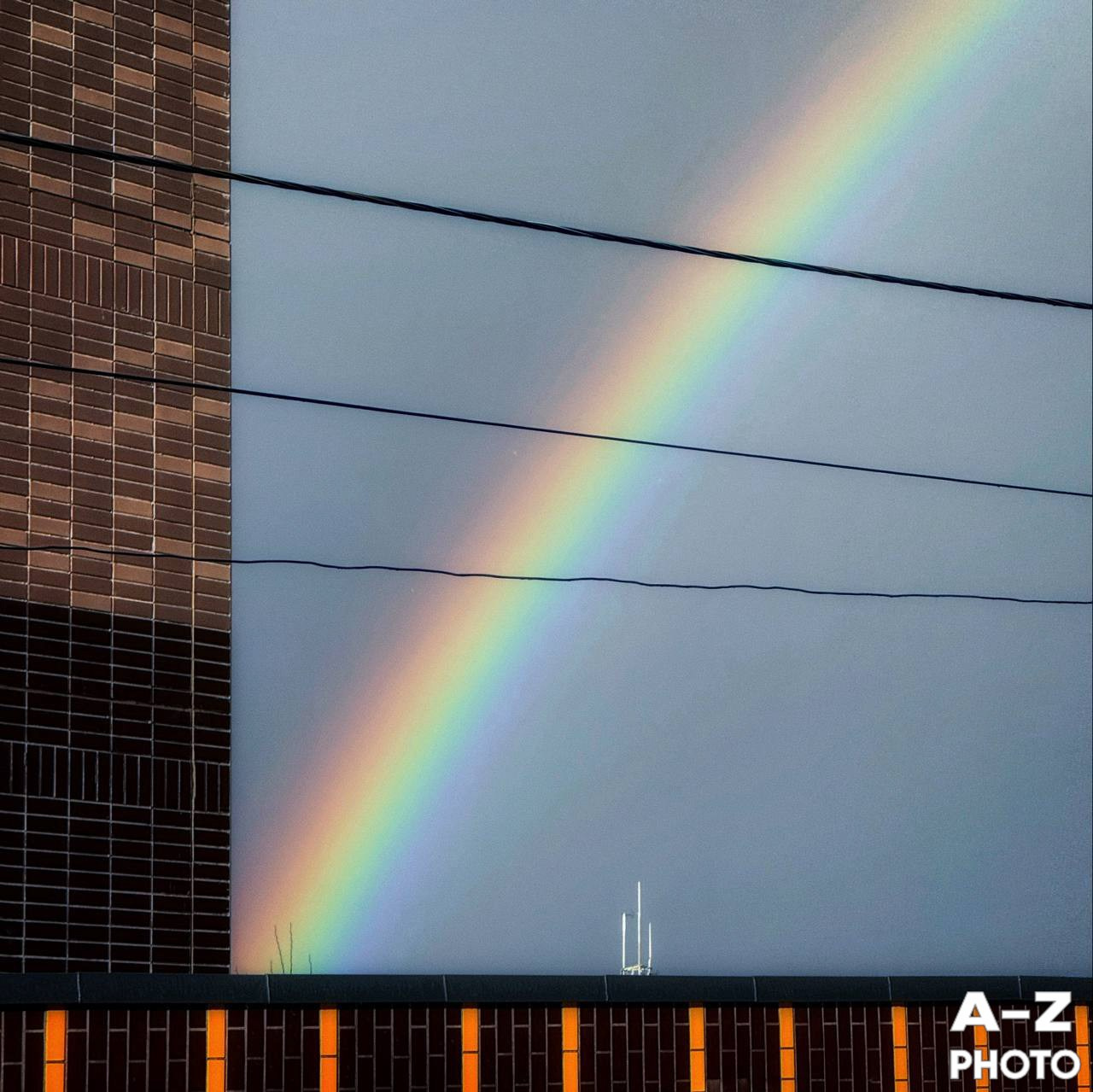 #ФОТОНЕДЕЛИ 06.04.2026. Женский семейный фотограф Тула Москва Захарова Анна