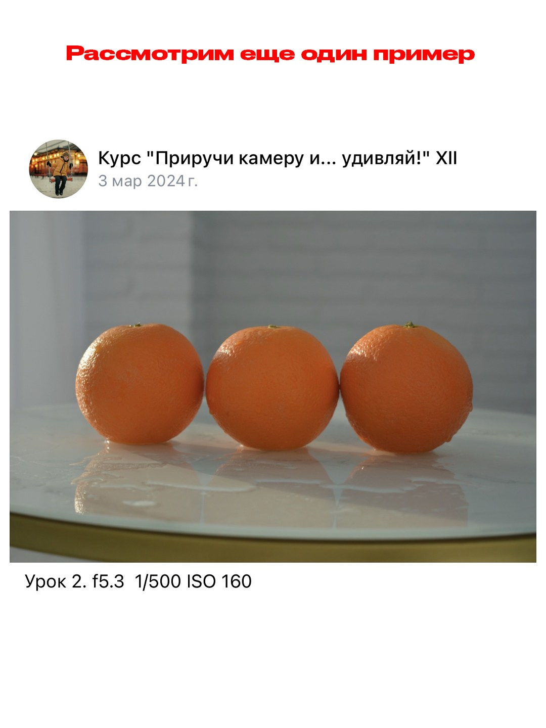 Онлайн-курс по фотографии. Наталья Рапопорт. Онлайн-курсы по фотографии и съемке видео