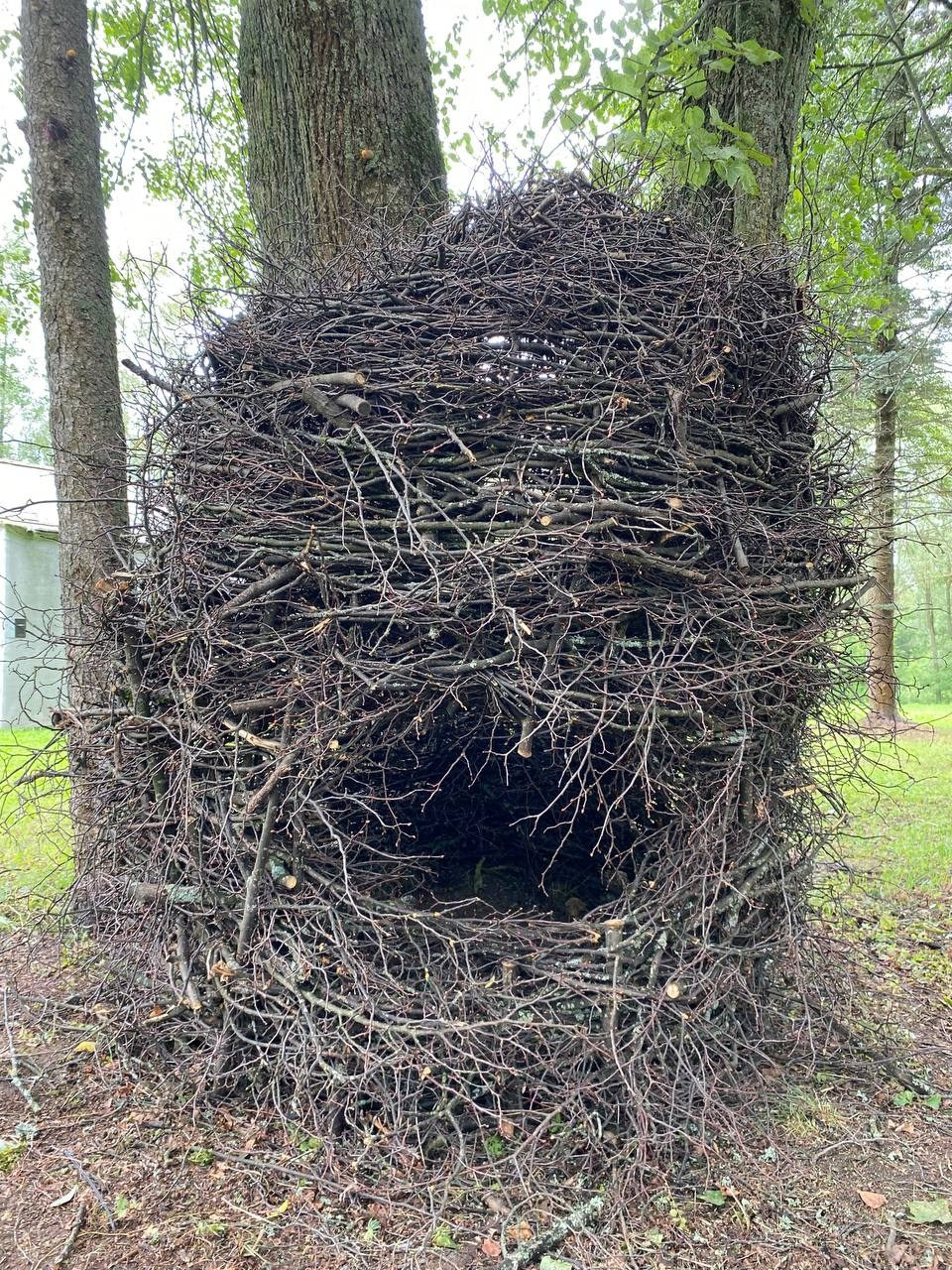 Парк Шиньонов. Лилия Ким. Междисциплинарный художник