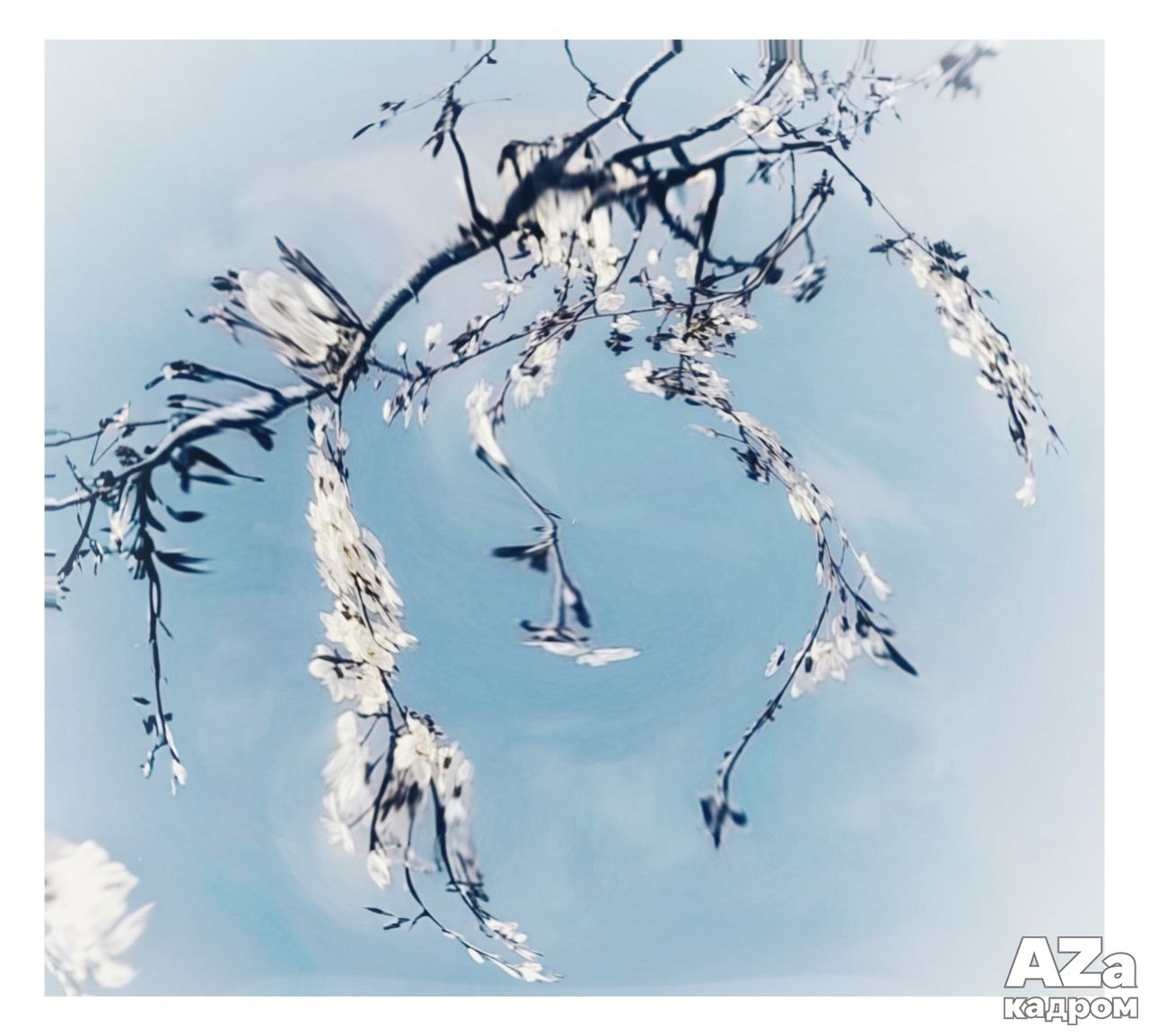 Дыхание весны. Фотоклуб AZакадром. Женский семейный фотограф Тула Москва Захарова Анна