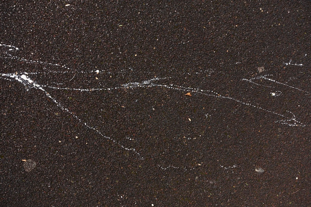 Игра. Иван Кобяков