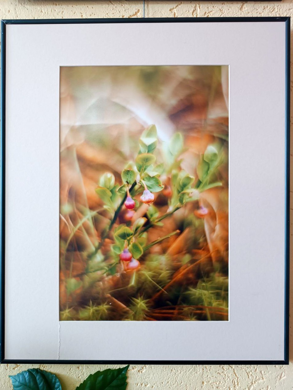 Авторская выставка «Ловец снов». Фотограф в Красноярске Оксана Корчагина