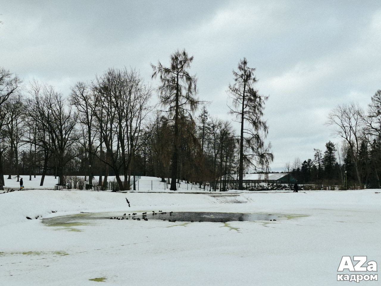 Дыхание весны. Фотоклуб AZакадром. Женский семейный фотограф Тула Москва Захарова Анна