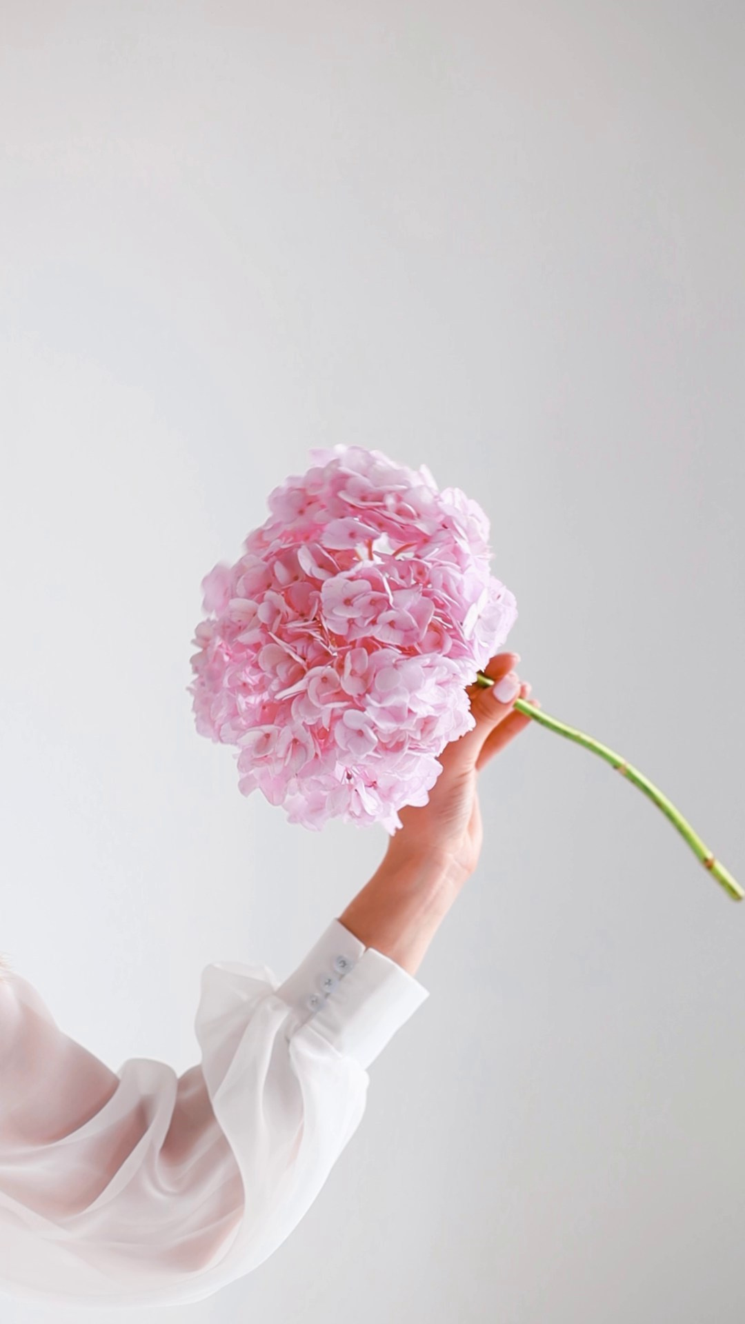 Свадебный и семейный фотограф в Краснодарском крае Мария Данилкина