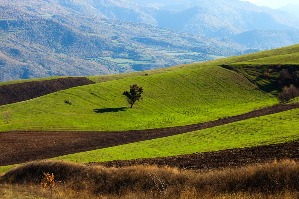 Осенняя Армения 2026 | Фотограф Дмитрий Купрацевич. Дмитрий Купрацевич профессиональный пейзажный и travel-фотограф