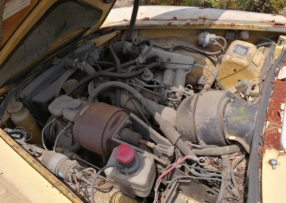 Volvo P1800 ES: главная звезда Шведского вечера