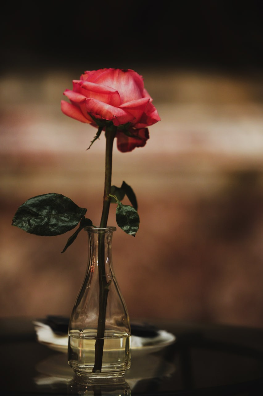 Дарья Урванцева