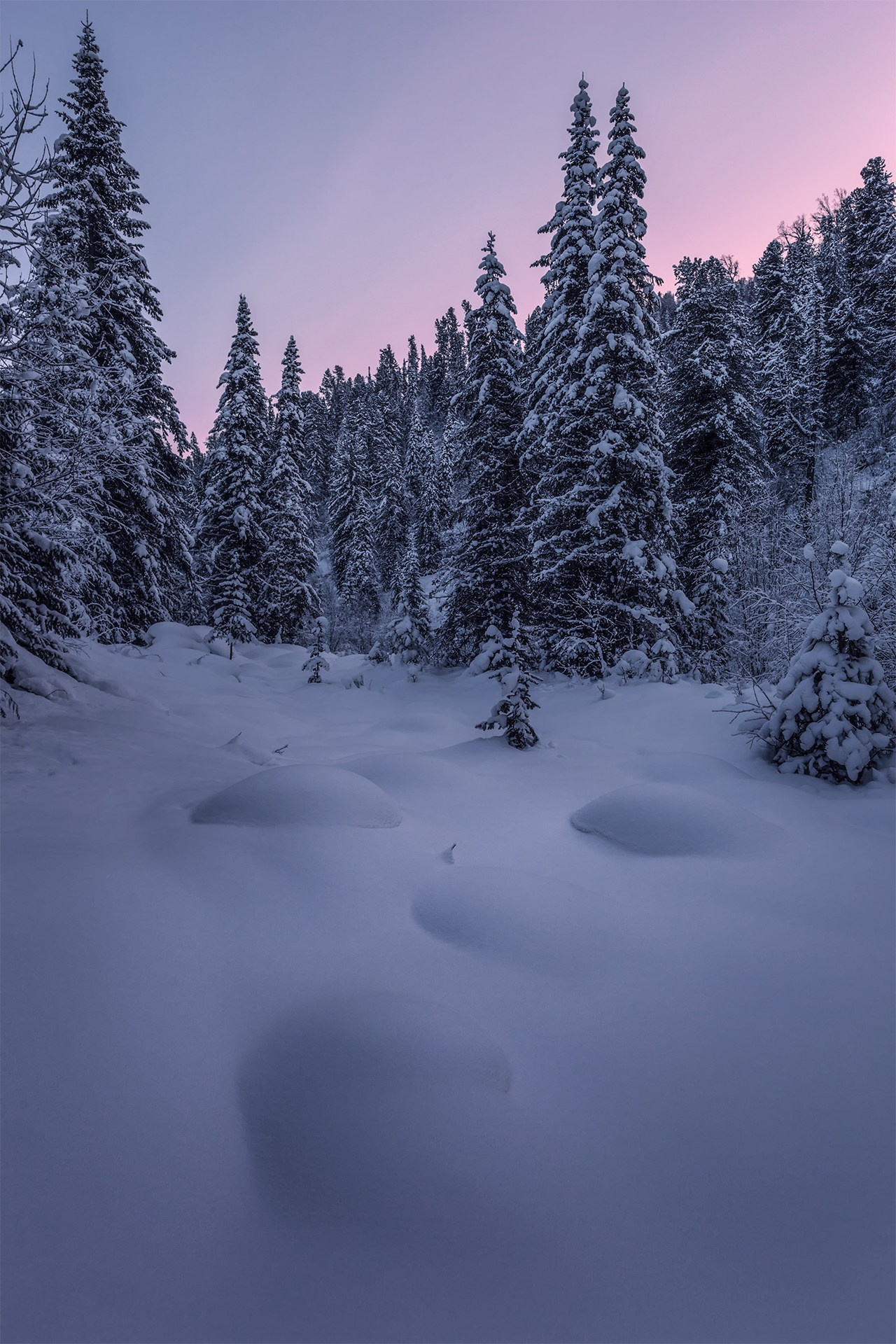 Пейзаж. Вадим Кононенко — outdoor creating