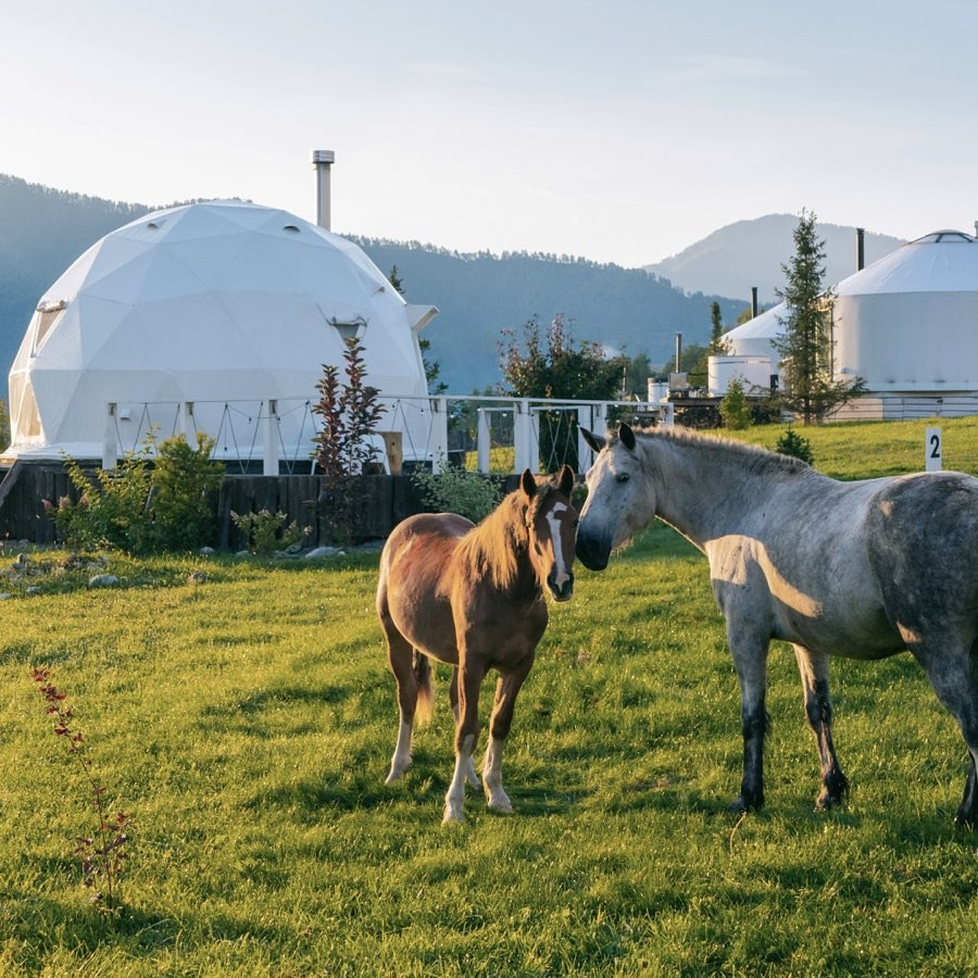 Алтай. Уникальные экспедиции — LUCKY CLAN