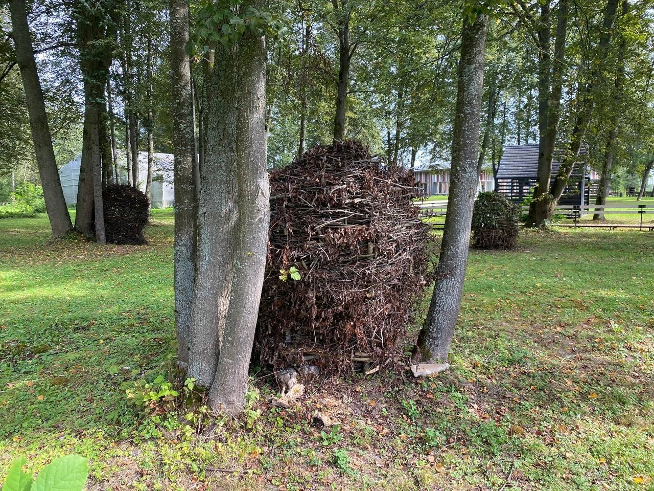 Резиденция «Белые аллеи» Москва. Лилия Ким. Междисциплинарный художник