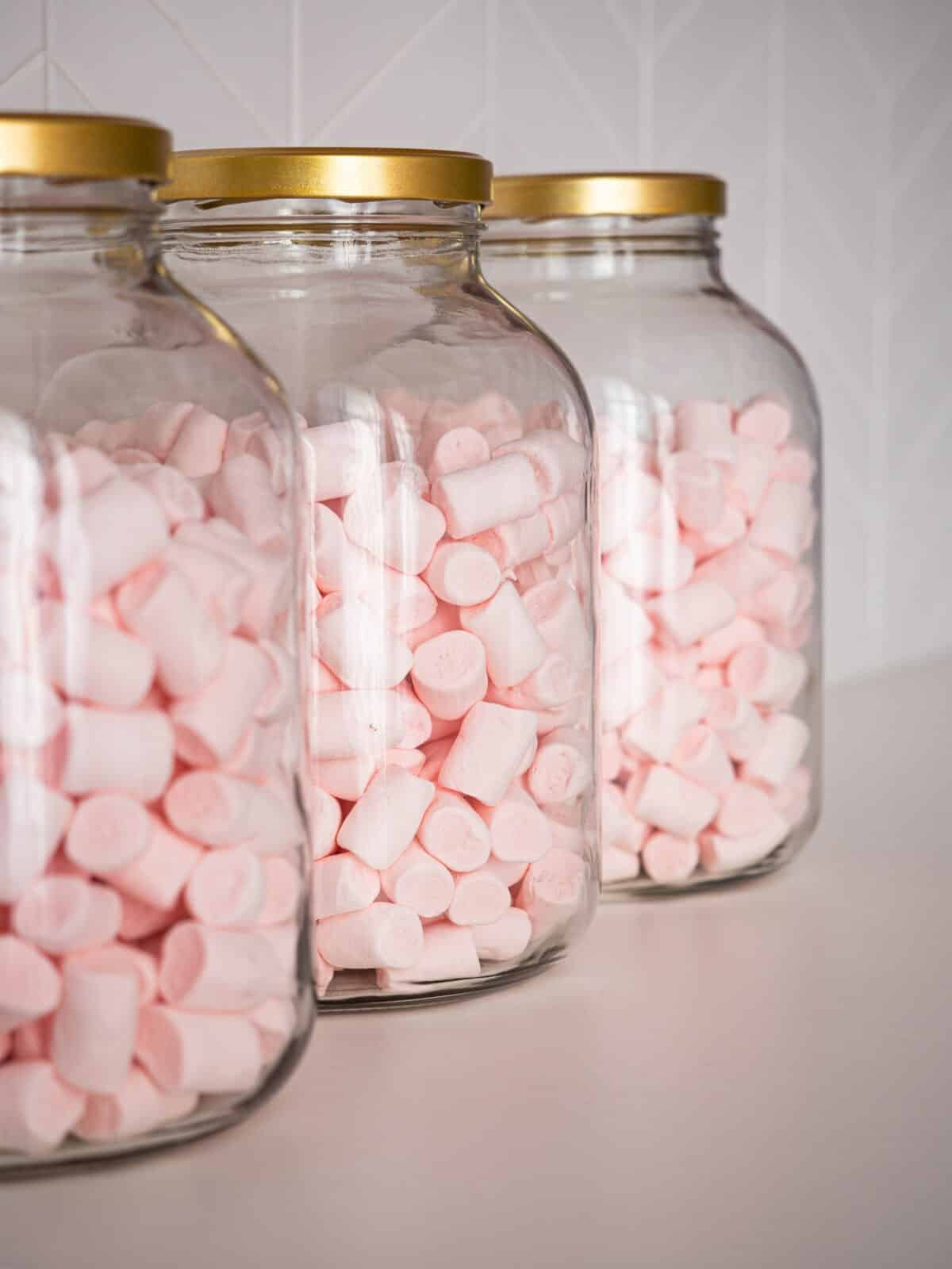 Фотостудия Photohub — всё для комфортной и красивой съёмки. Фотограф в Минске Людмила Дутко