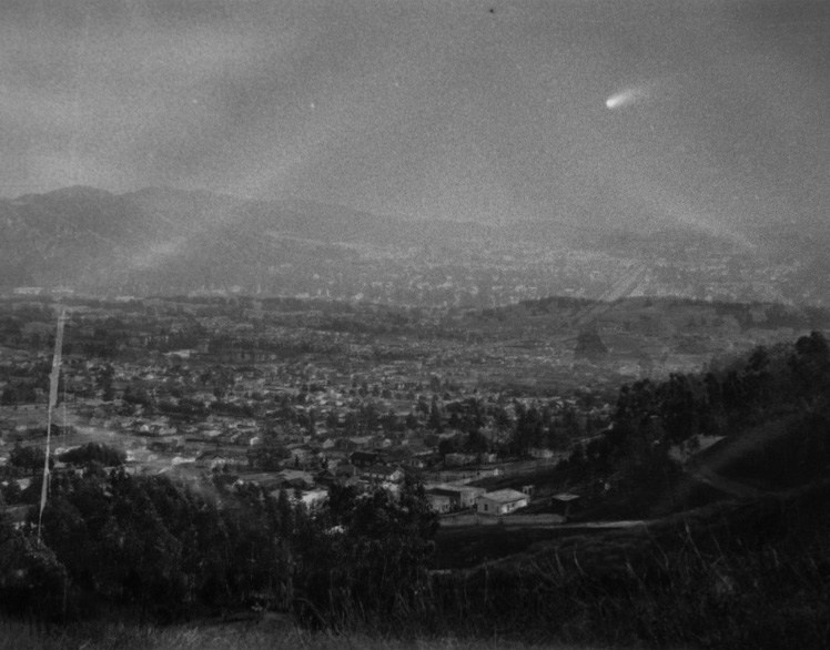 Книга Эмилии Мартин (Emilia Martin) «I saw a tree bearing stones in the place of apples and pears». Private image