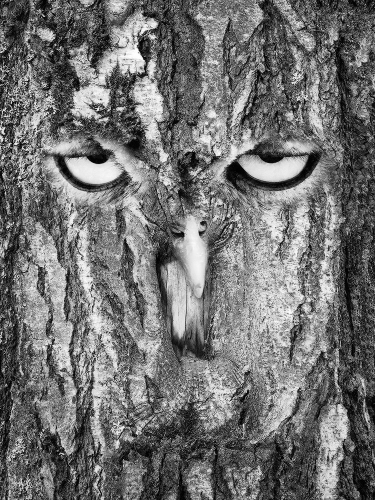 Projects. Landscape Photography by Aleksandr Leshchenok