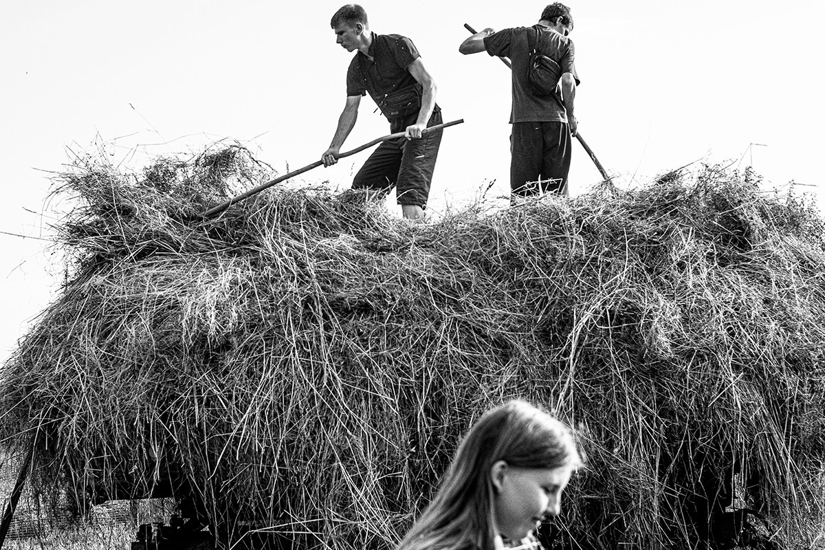 Лето в Поозерье. Фотографии Лены Соколовой