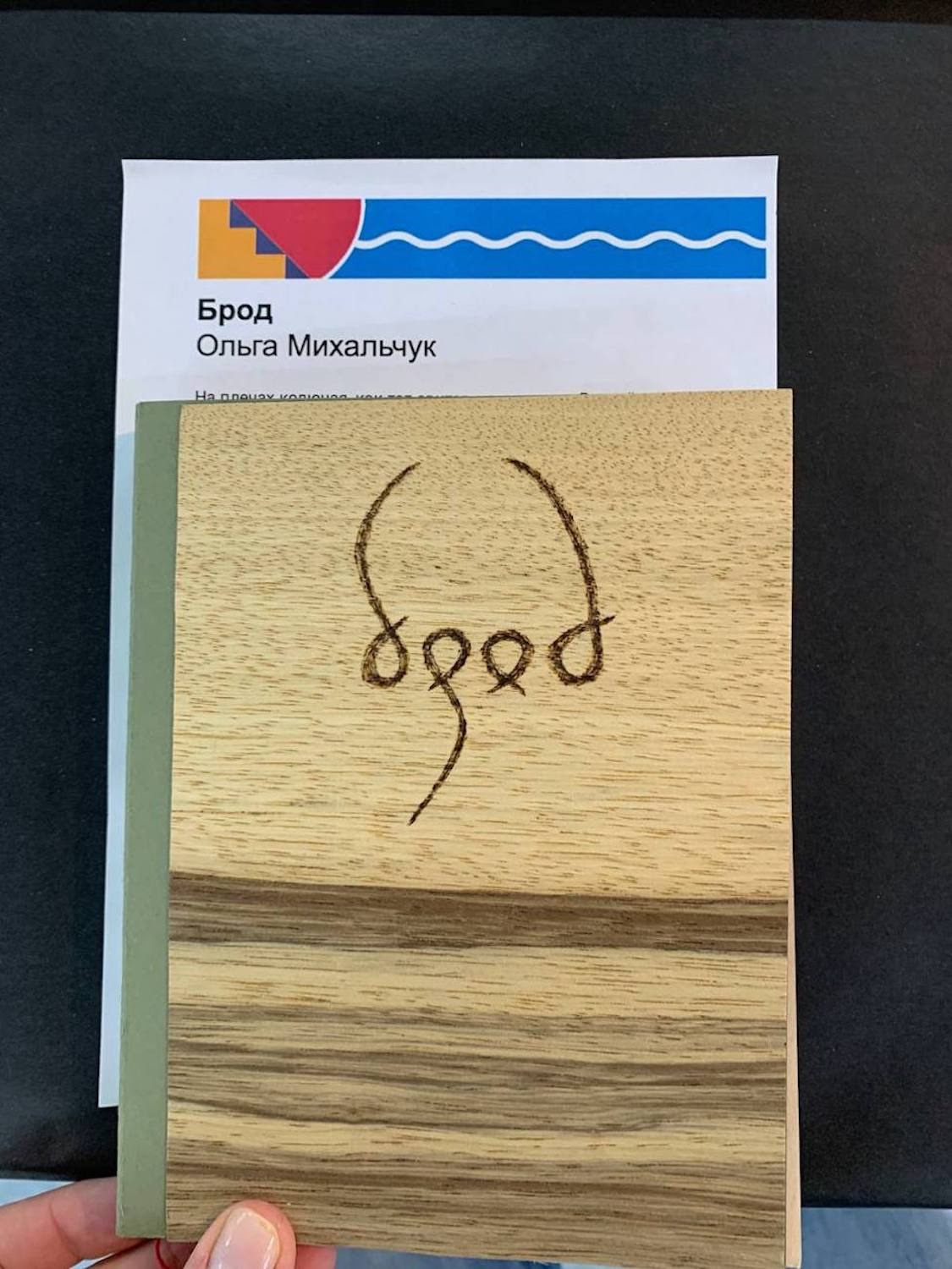 Знакомьтесь, «Брод», Ольга Михальчук, на фестивале «Жердёла». Ольга Михальчук, художница и фотограф