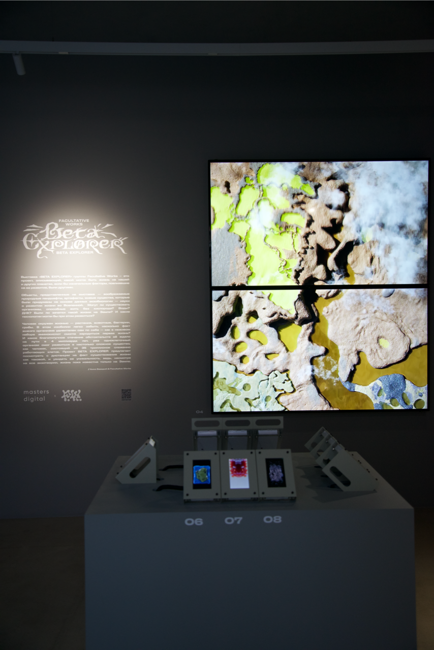 BETA-EXPLORER. Anna Zavediy