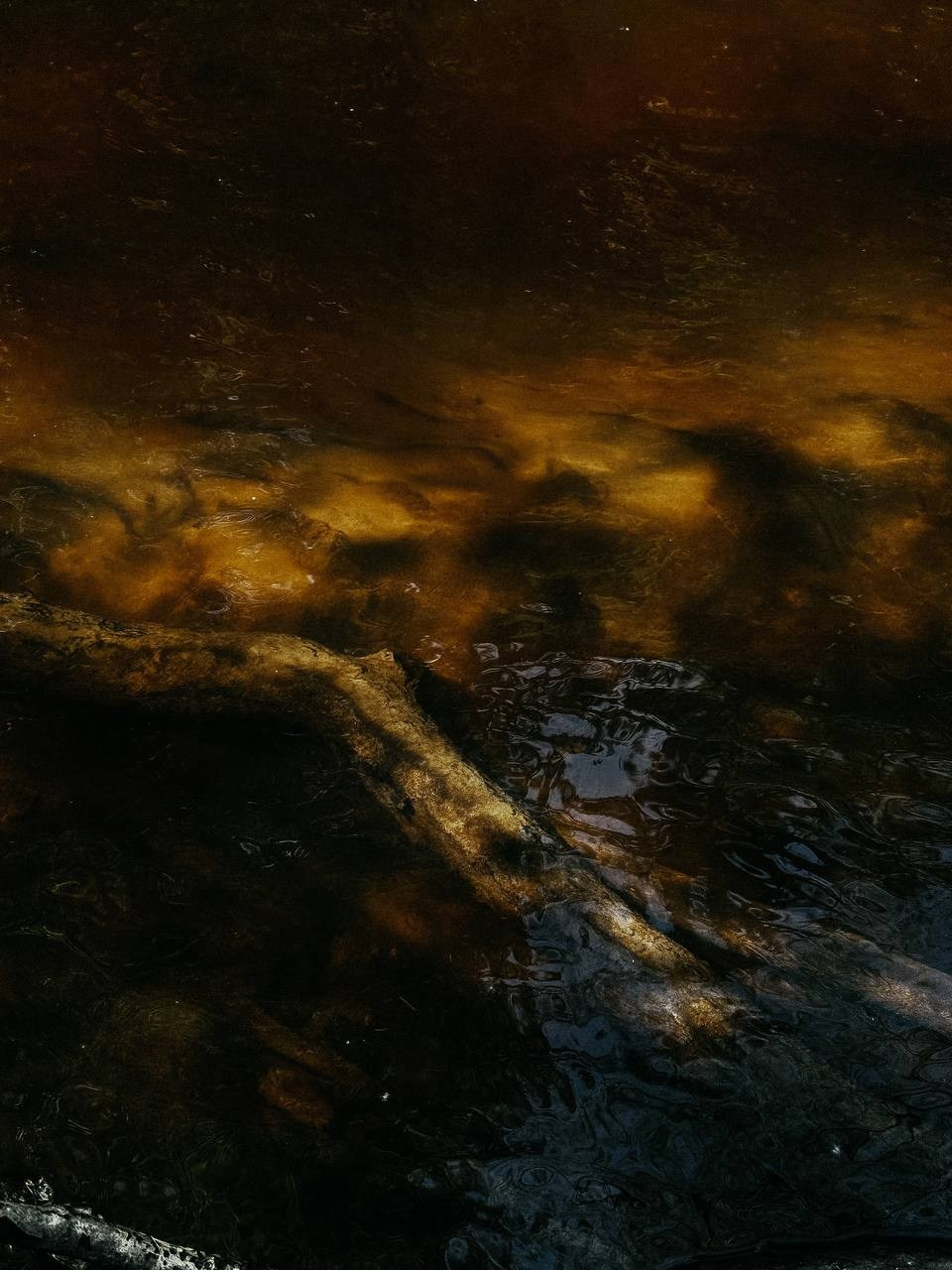 МАРАФОН ФОКУС НА ПРЕКРАСНОМ. Фотограф Анастасия Дмитриева