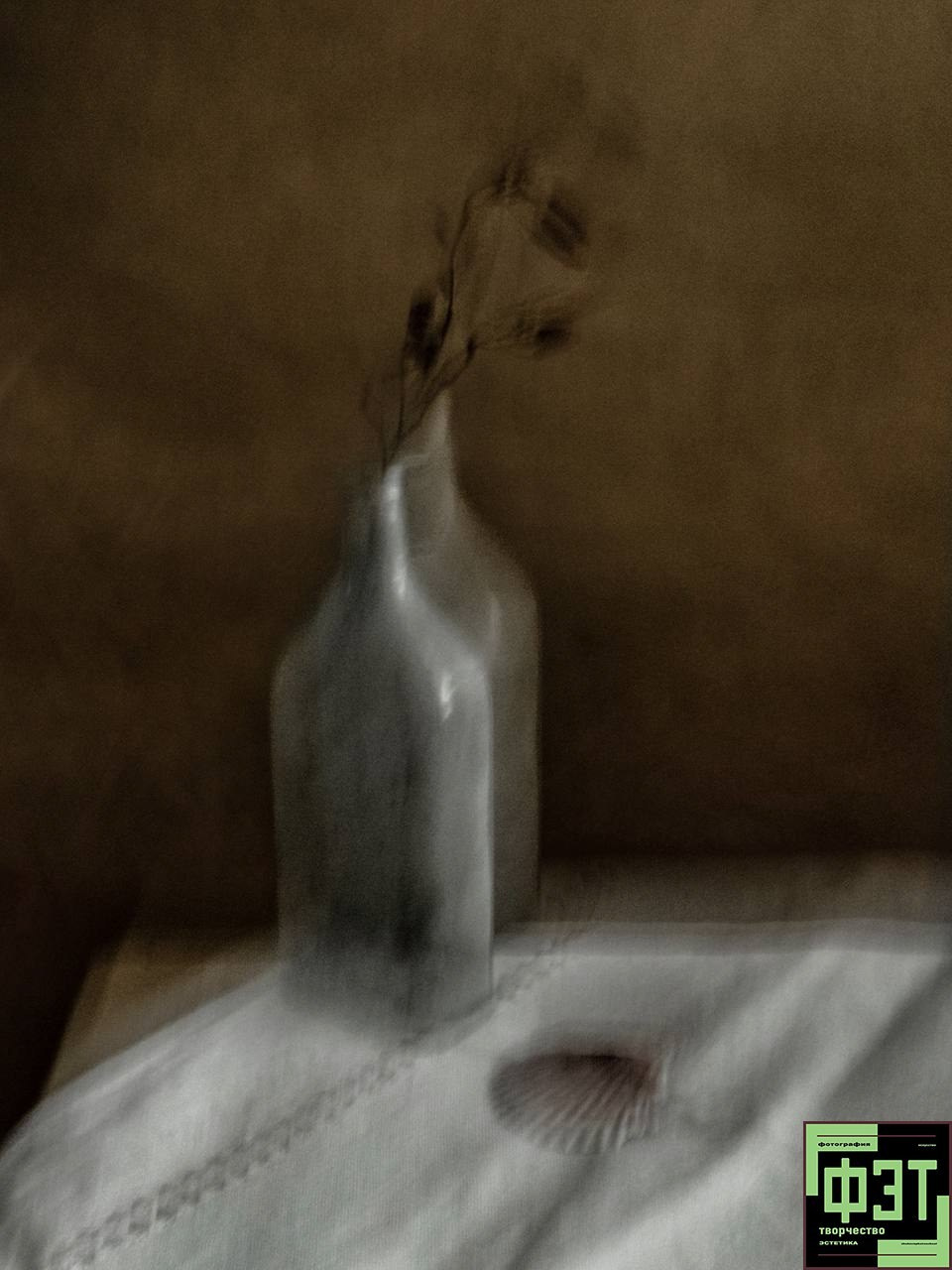 Фотопроект «ФЭТ: Фотография, Эстетика, Творчество». Наталья Жукова. Курсы фотографии