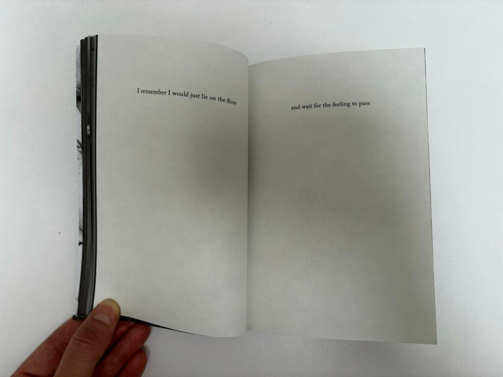 Книга Ройсин Уайт (Róisín White) «Lay Her Down Upon Her Back». Private image