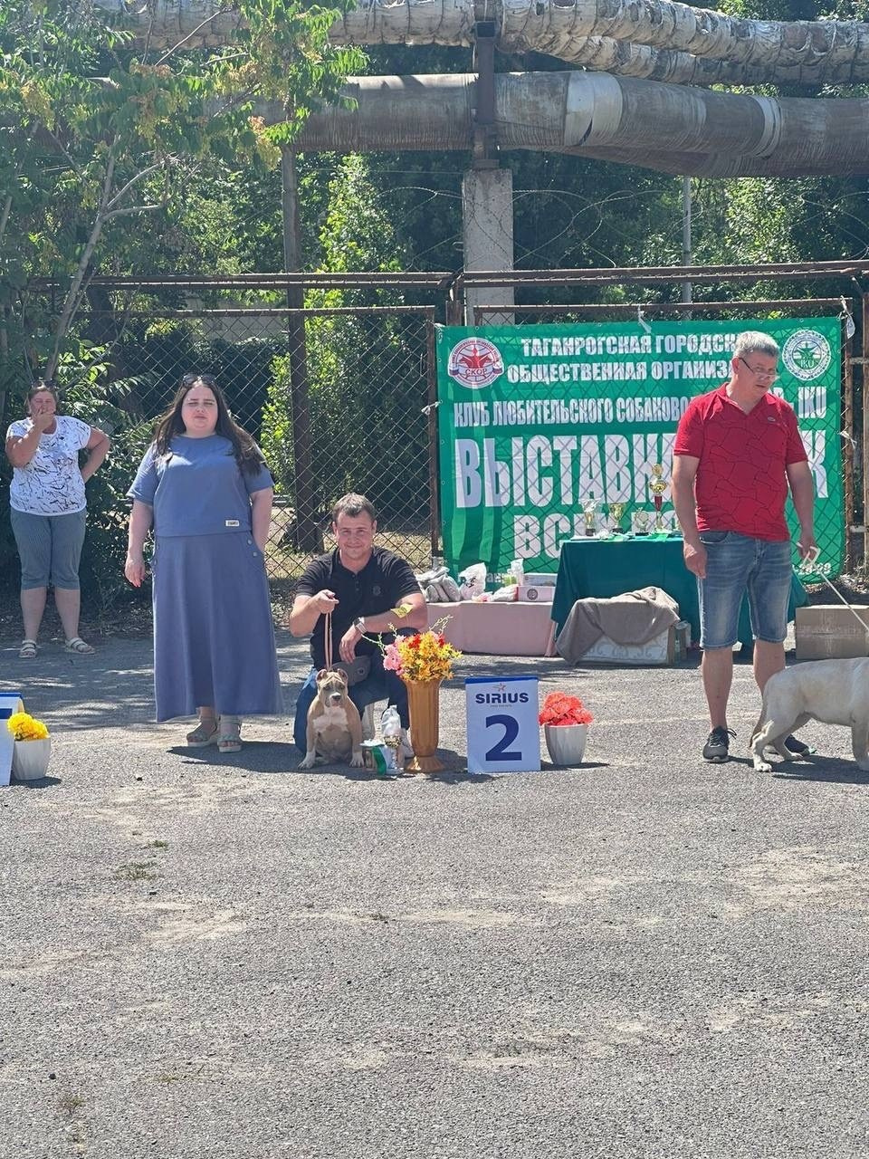 американский булли Юг, американский булли южный округ, лучшие американские булли на юге россии, топовые булли в россии, топовые американские булли в россии, ТОП булли, Топ американский булли, самые крутые американские булли, булли клаccик, булли покет, булли стандарт, булли экзот, булли xl, амeриканский булли, щенок булли, американский булли питомник, американский булли купить, американский булли щенок, американский булли москва, американский булли ростов-на-дону, американский булли краснодар, американский булли ставрополь, американский булли волгоград, американский булли семфирополь, американский булли ставрополь, американский булли сочи, американский булли воронеж, американский булли питер, американский булли санкт-петербург, американский булли Казань, американский булли Новосибирск, американский булли Челябинск, американский булли Ростов, американский булли Луганск, американский булли Донецк, американский булли покет, американский булли классик.американский булли ,американский булли щенки , американский булли купить ,американский булли фото , американский булли покет , собака американский булли , порода американский булли , американский булли цена , купить щенка американского булли ,американский булли характеристика , порода собак американский булли, питомник американских булли , американский булли отзывы, американский булли стандарт , американский булли отзывы владельцев, американский булли xl , россия американские булли , американские булли москва , американский булли вес , американский булли цена щенка, американский булли породы собак сша , американский булли размеры , американский булли классик , американский булли классика , американский булли характеристика породы , авито американский булли , сколько стоит американский булли , окрасы американских булли , американский булли виды , американский булли типы , американский булли цена в россии , американский булли экзот , американский булли микро , американский булли мини , собака американский булли фото , американский булли спб , американский булли характер , минусы американского булли , купить американского булли в москве , американские булли сколько щенков , плюсы американского булли , американский булли плюсы и минусы , взрослый американский булли , американский булли фото цена , американский булли фото щенков , американский булли крым , сколько живут американские булли , американский булли описание , американский булли купить авито , американский булли ростов , собачий питомник , питомник для собак , собаки , порода , щенки, щенок для детей, щенок для ребенка, щенок для семьи, собака для ребенка, питомник BULLY LOVERS, питомник THE POWER OF SIBERIA, питомник Ultimate Bully, питомник FORTIS FORTUNA VALIDI, питомник EXTREME BEAR, питомник American Dream, Питомник RUSSIAN BULLS, питомник ТАРУС & BULLY LAND, питомник Bully Ranch P&N, Питомник ANTREABULLS, питомник Ambully House, питомник Mar Nero, питомник Alfabulls, #micro #microbully #ambully #ambullys #ambullylife #ambullyforlife #ambullyworld #ambullylove #ambullylover #ambullylovers #ambullyloversfans #americanbullybreed #americanbullykennelclub #американскийбуллипитомник #bullies #bulliesallday #bulliesofig #bulliesofinsta #bulliesofinstagram #instabullies #bullieslife #bullymag #americanbully_feature #americanbullydog #tribullies #americanbullyblue #americanbullytricolor #bullystick #americanbullyStud, американский булли,американский булли щенки,американский булли купить,американский булли покет,американский булли фото,собака американский булли,порода американский булли,американский булли цена,американский булли купить щенка,американский булли характеристика,порода собак американский булли,американский булли отзывы,питомник американских булли,американский булли стандарт,американский булли отзывы владельцев,россия американские булли,американский булли виды,американский булли цена щенка,сколько стоит американский булли,американский булли цена в россии,американские булли москва,американский булли xl,американский булли размеры,типы американских булли,американский булли мини,американский булли вес,авито американский булли,американский булли породы собак сша,американский булли микро,американский булли характеристика породы,американский булли экзот,американский булли классик,американский булли классика,собака американский булли фото,американский булли характер,минусы американского булли,американские булли спб,американский булли окрасы,американский булли купить в москве,американские булли сколько щенков,плюсы американского булли,американский булли видео,американский булли плюсы и минусы,американский булли щенок фото,взрослый американский булли,американский булли девочка,американский булли описание,сколько живут американские булли,американский булли покет купить,американский булли крым,american bully,american bully ru,american bully ru shchenki,https american bully ru,https american bully ru shchenki,american bully xl,american bully питомник,american bully dog,american bully kennel,american dream bully,american bully pocket,american bully kennel club,all american bully фильм смотреть,american bully xxl,reddit american bully,american bully ru shchenki html,american bully wise,celina innovations crochet american bully part,https american bully ru shchenki html,american bully classic,питомник американских булли,питомник собак американский булли,питомник американских булли в крыму,питомник собак в крыму американские булли,питомник в крыму американский булли последние,питомник американских булли в москве,американские булли купить питомник,питомник американских булли в россии,питомник американских булли покеткупить щенка американский булли питомник,американские булли цена питомники,питомник американских булли в спб,питомник американских булли яна,купить американского булли в москве питомник,питомник американских булли в москве и московской,официальные питомники американских булли,крым питомник американских булли яна,булли американский купить питомник цена,москва и область питомники американских булли,питомник американских булли яна и гоша,американские булли подмосковья питомник,американский булли стандарт питомник,питомник американских булли екатеринбург,питомник американских булли ростов,лучшие питомники американских булли,питомник собак крым американский булли яна,яна питомник собак американский булли,американский булли купить в спб питомник,американский булли питомник львиное сердце уфа,американский булли питомник львиное сердце уфа вк,американский булли лучший питомник россии,американский булли питомник краснодар,американский булли купить спб щенка питомник,американский булли покет питомник москва,американский булли сайт питомник,питомник американский булли официальный сайт,питомник американских булли в челябинске,питомники американских булли в россии список лучших,питомник собак американских булли серпухов,питомник собак дзен американский булли,американский булли xl питомник,питомник американских булли в талдоме,питомник и цена американ американский булли,фаворит гигант питомник американских булли,американский булли купить,американский булли купить щенка,американский булли купить в москве,американский булли покет купить,американский булли купить щенка в москве,американский булли купить авито,купить американский булли цена,купить американского булли в спб,купить собаку американский булли,американский булли купить щенка цена,американский булли покет купить щенка,американский булли купить в беларуси,американский булли стандарт купить,американский булли купить москва московская область,купить американского булли в россии,купить американского булли в московской области,американский булли купить в екатеринбурге,американский булли купить в новосибирске,американский булли купить щенка в спб,