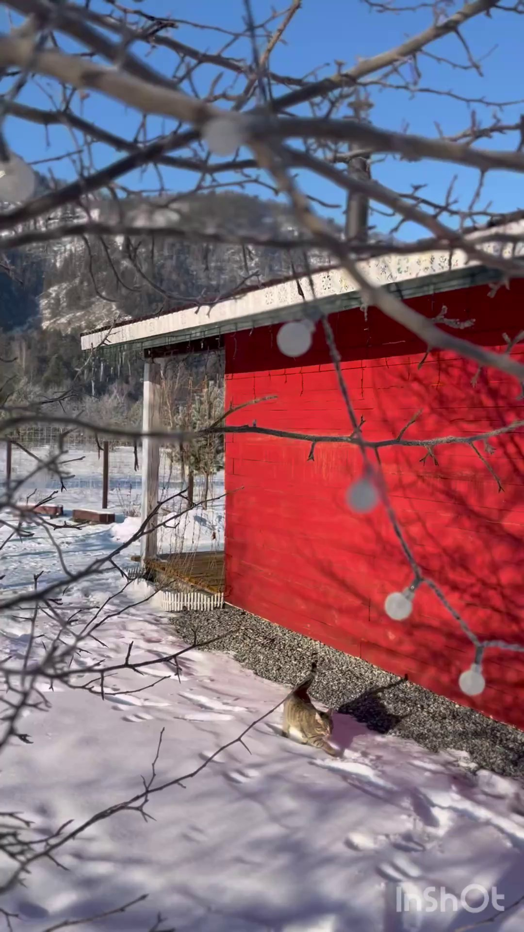 Аренда гостевого дома в горах. Семейный фотограф в Барнаул/Горный Алтай, Аренда дома в горах