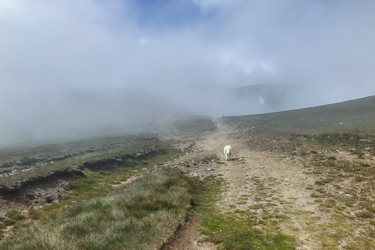 Путешествие в Румынию | Часть 4/4. Фотограф Дмитрий Питерский