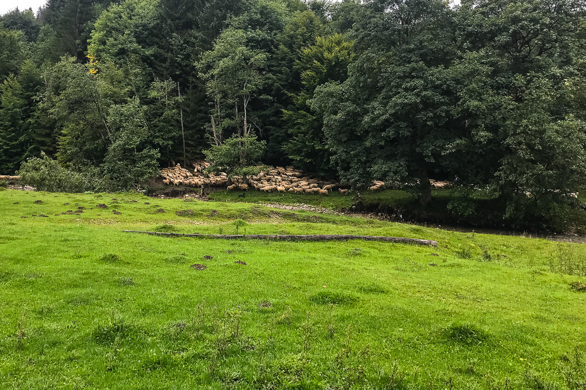 Путешествие в Румынию | Часть 4/4. Фотограф Дмитрий Питерский