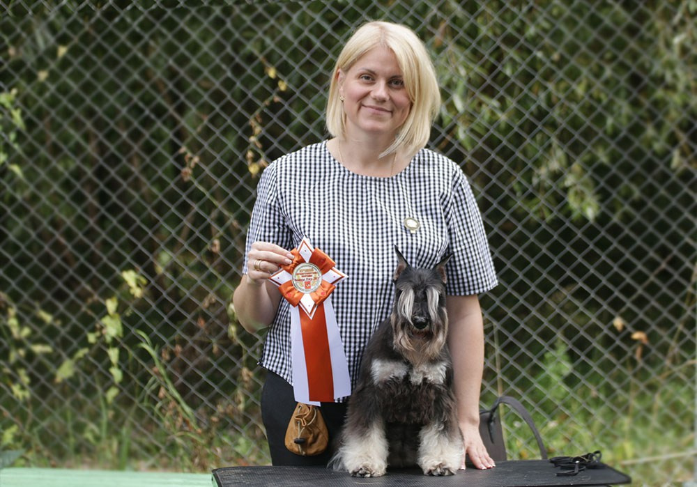 Питомник Делинсо Бэлэнс, щенки цвергшнауцера, купить щенка цвергшнауцера, питомник цвергшнауцеров, кобель цвергшнауцера для вязки, щенок цвергшнауцера, питомник цвергшнауцеров, черный с серебром, цверг, лучший питомник в беларуси, питомник цвергшнауцеров минск