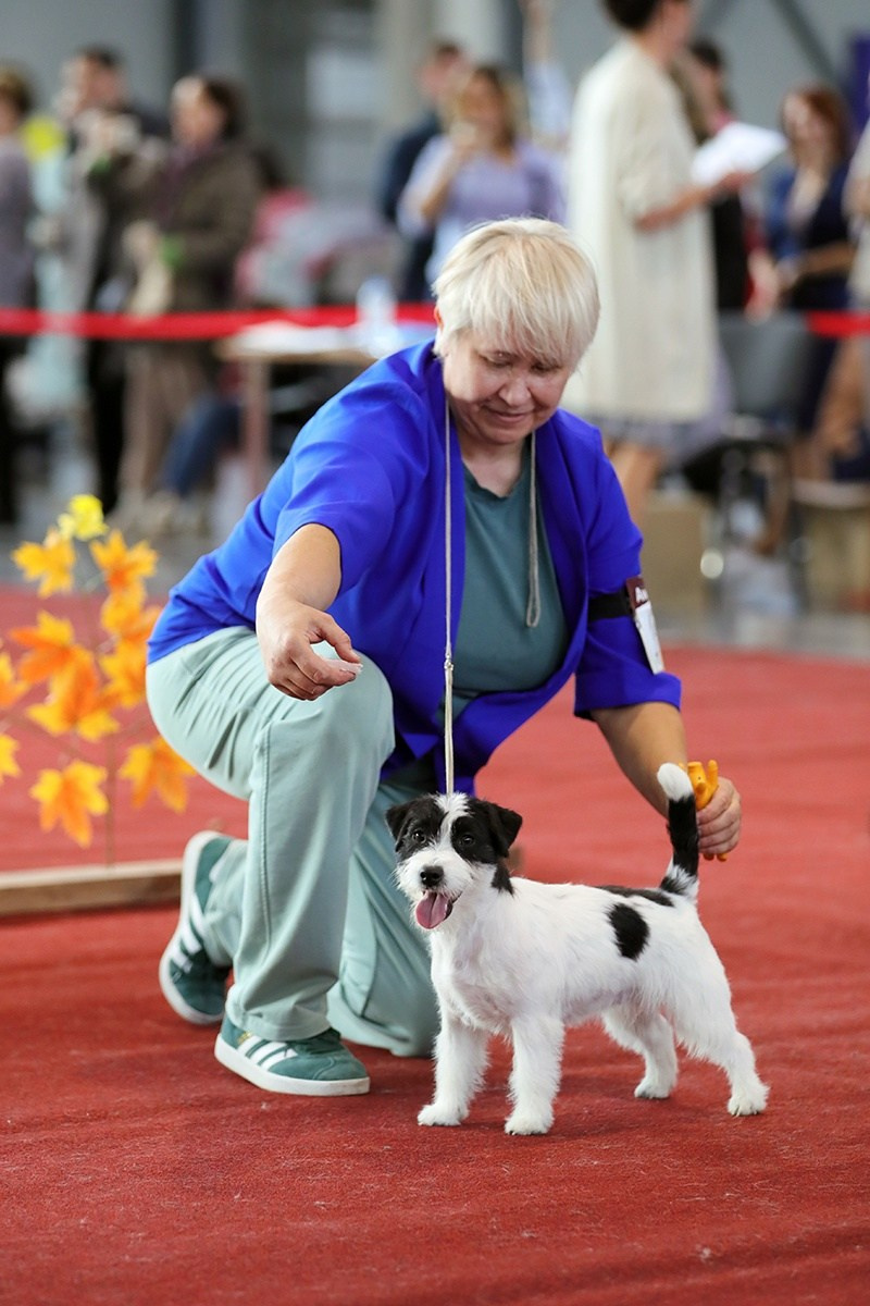 Port Fortis Polka Dot