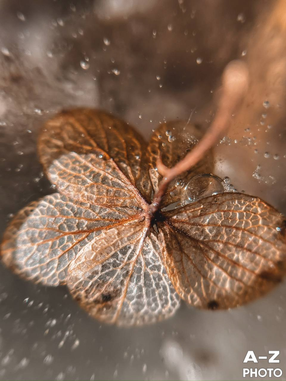 #ФОТОНЕДЕЛИ 06.04.2026. Женский семейный фотограф Тула Москва Захарова Анна