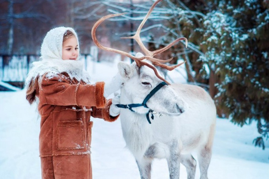 ПРАЙС НА ФОТОРЕПОРТАЖ ТУРЫ ВЫХОДНОГО ДНЯ