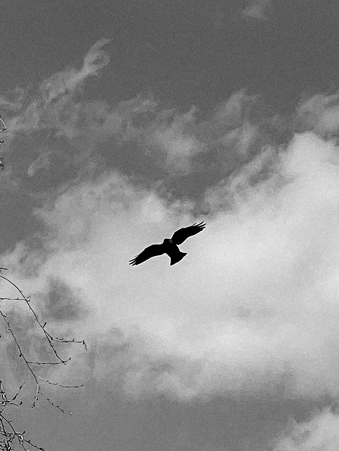 Глазами невесты. Свадебный фотограф Елизавета Беляева