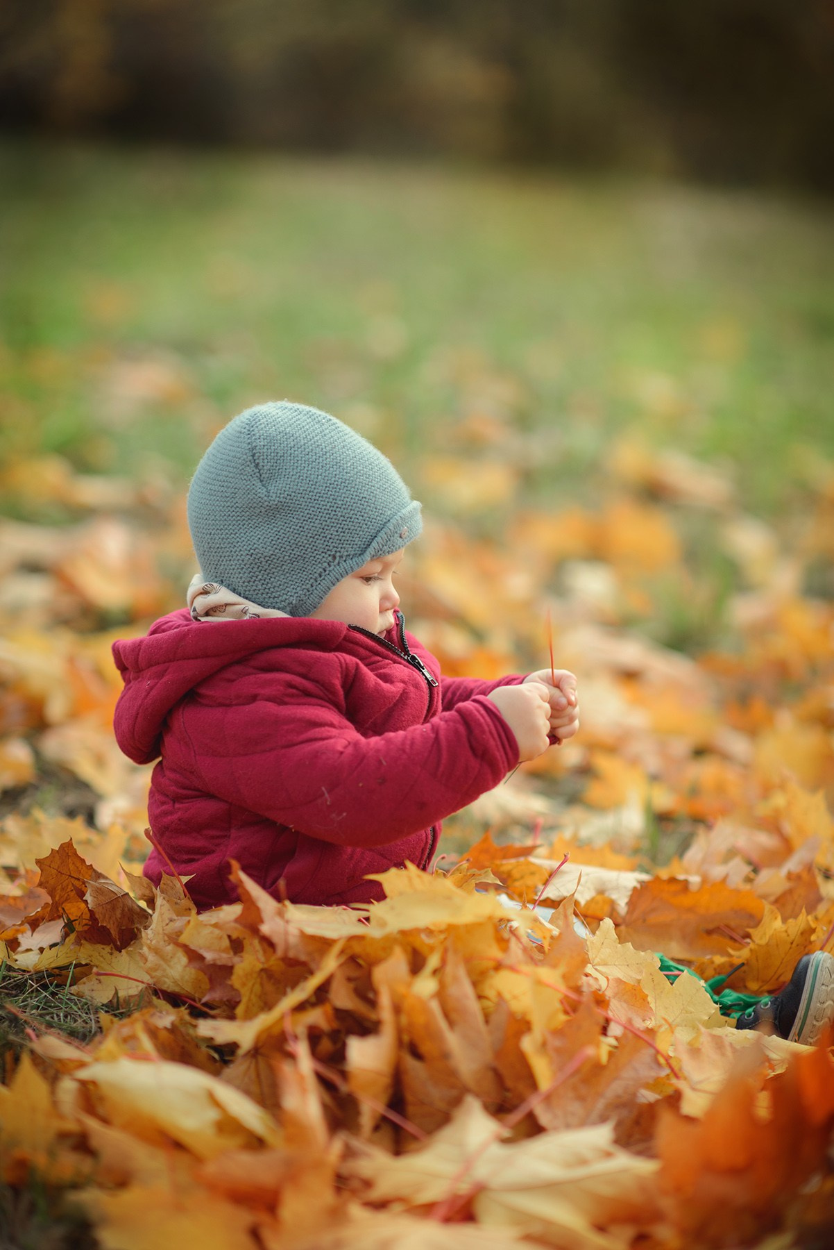 Photo shoot of little child in autumn. Photos with yellow leaves