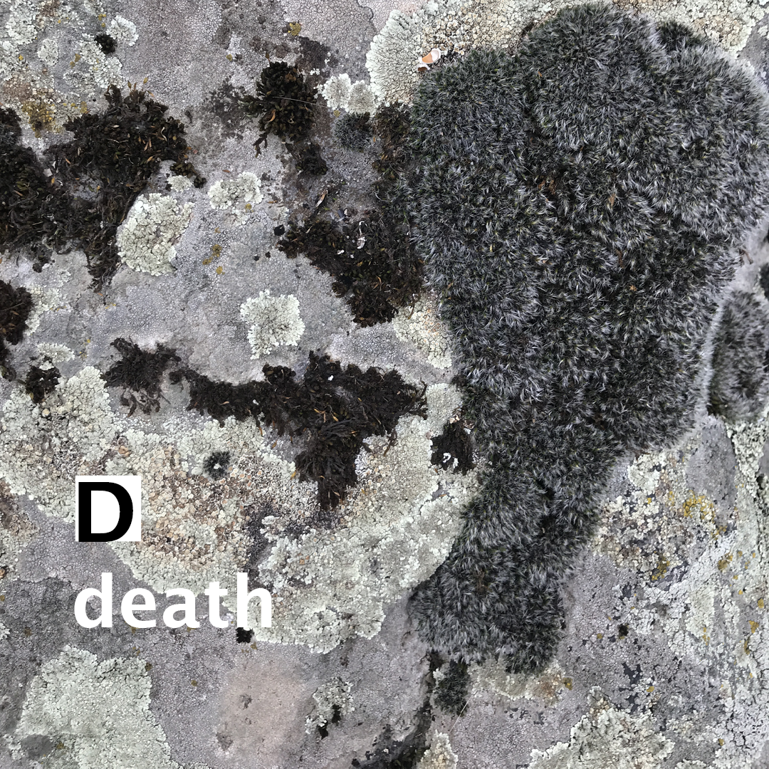 Что ты слушаешь?. Xenia Ryabova