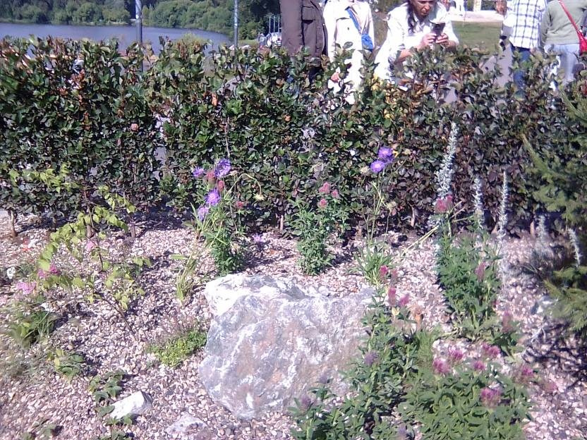 ВНИМАНИЕ! ФЕСТИВАЛЬ ЛАНДШАФТНОГО СТРОИТЕЛЬСТВА. 俄罗斯设计估算