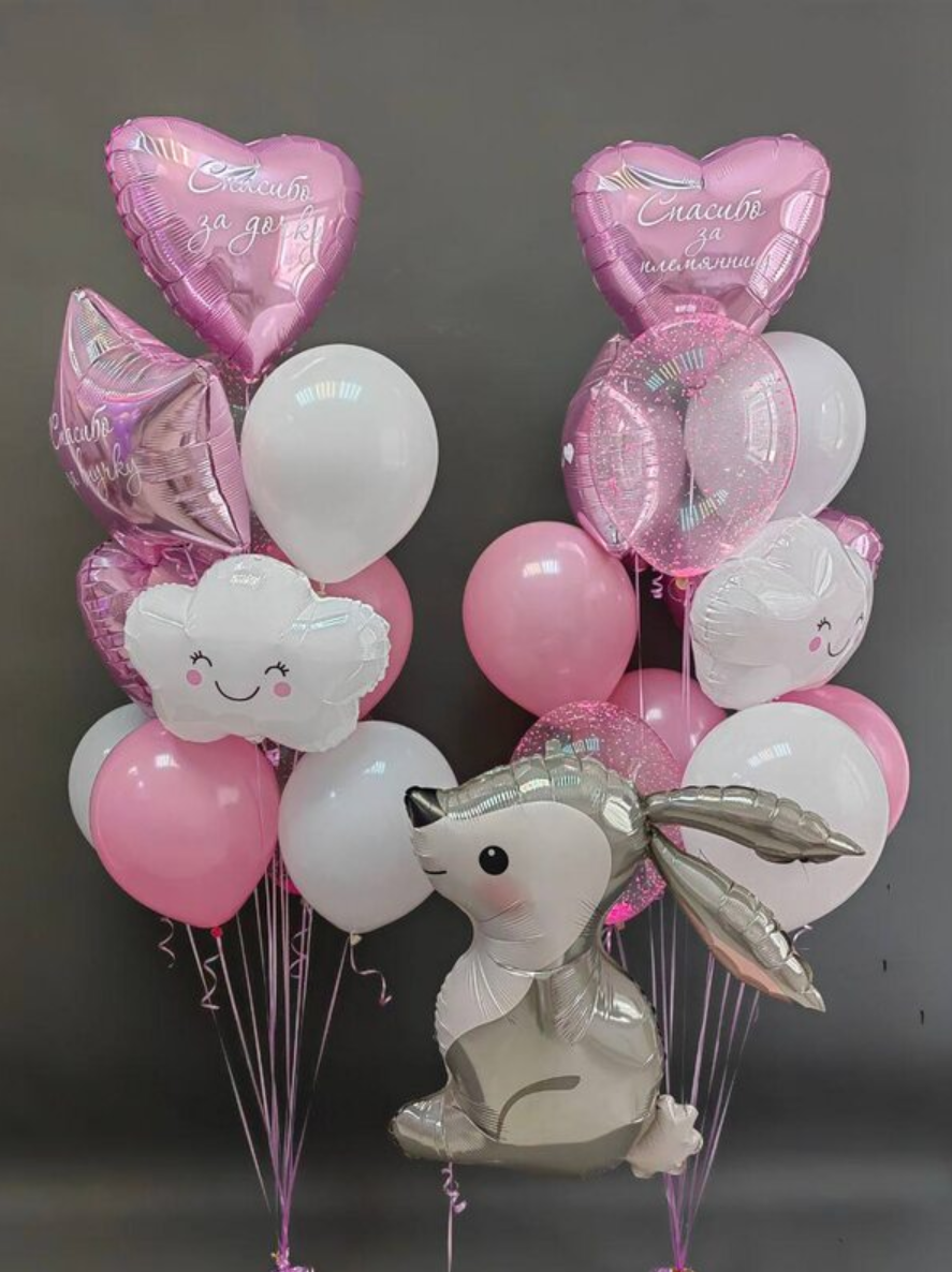 Odalazak iz porodilista prodavnica balona Novi Sad prodavnica balona Beograd. Шары с гелием, фотозоны Нови Сад Белград. Balone i dekoracije od balona Novi Sad Beograd