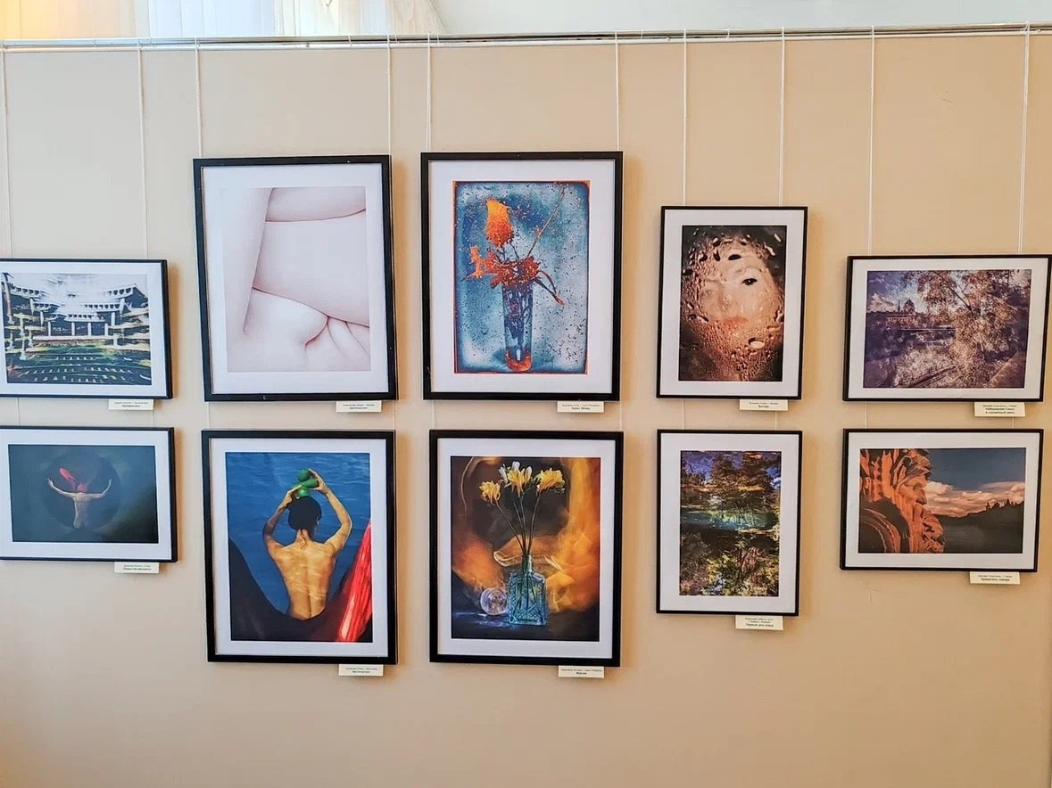 Участвую в выставке, г. Ставрополь. Фотограф Наталия Шляпина в Ростове-на-Дону