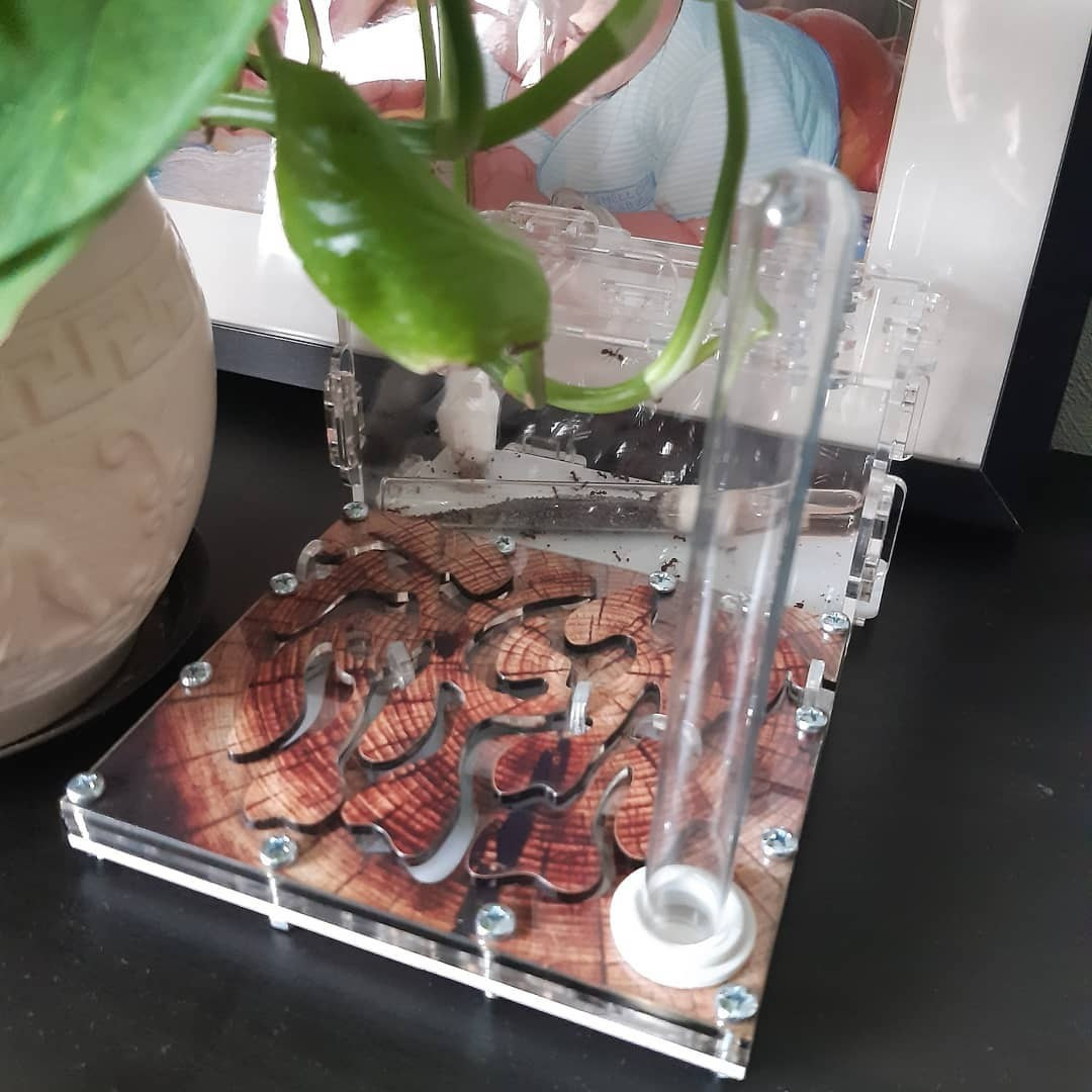 60 лет космической эры: наши дети рисуют звёзды!