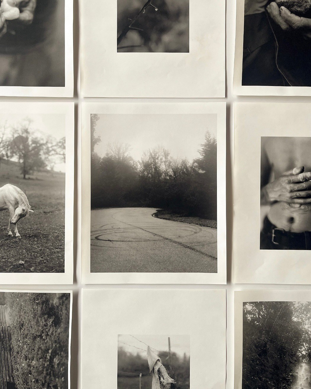 PhMuseum: Неполное руководство по созданию фотокниг — Аллан Салас. Самоорганизация Низина