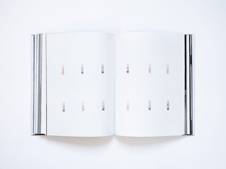 ИНТЕРВЬЮ С АВТОРАМИ: MOE SUZUKI. Самоорганизация Низина