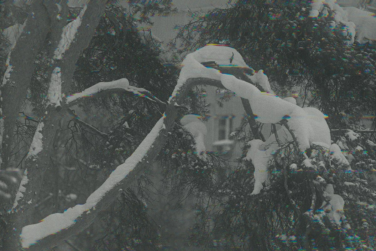 Несущественные детали. Иван Кобяков