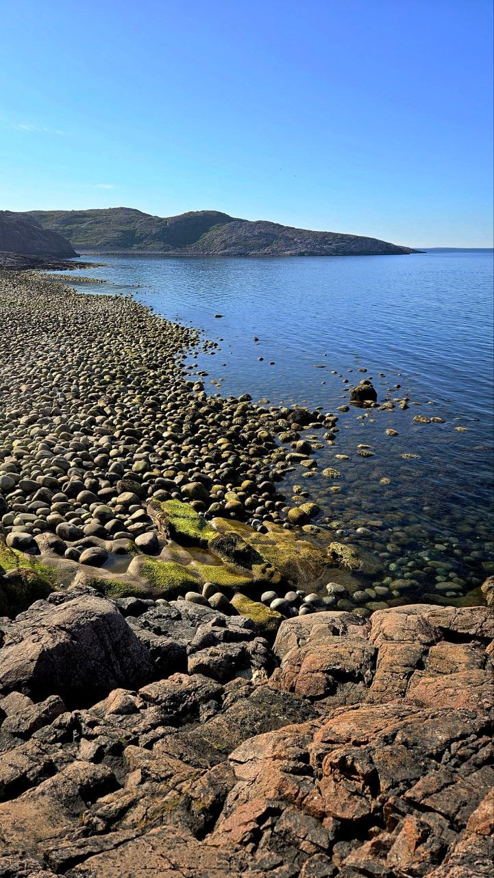 Занятия по рисунку, живописи и композиции. Изостудия «Мы рисуем!» ♥ Южное Бутово, Москва