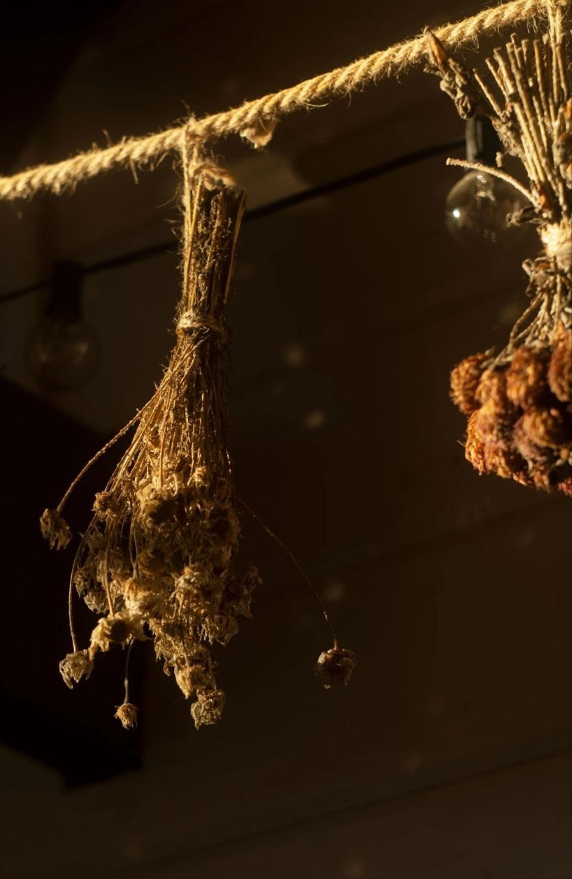 КАРЕЛЬСКАЯ ПЕРЕЗАГРУЗКА. INNERBLOOM TRAVEL-путешествия для авантюристов, мечтателей и настоящих гурманов по России и миру