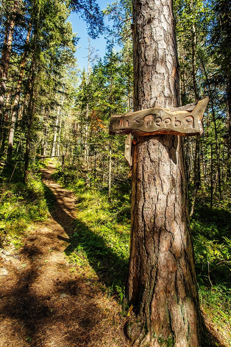 Экскурсия фото тур Национальный парк заповедник Красноярские столбы фотосессия маршрут путешествие личный гид Красноярск