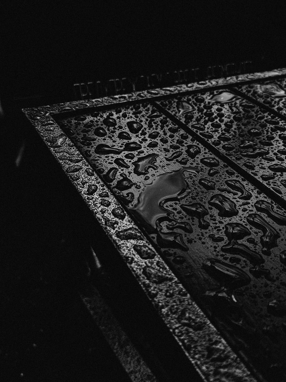 МАРАФОН ФОКУС НА ПРЕКРАСНОМ. Фотограф Анастасия Дмитриева