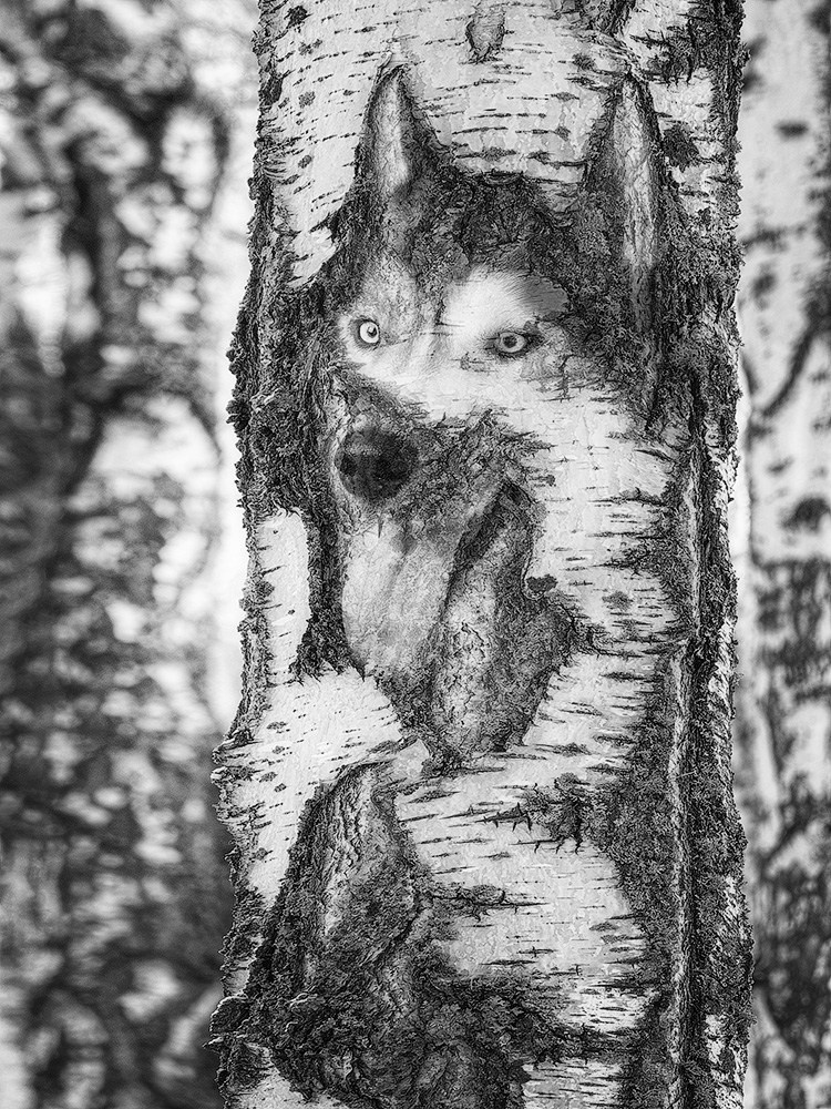 Projects. Landscape Photography by Aleksandr Leshchenok