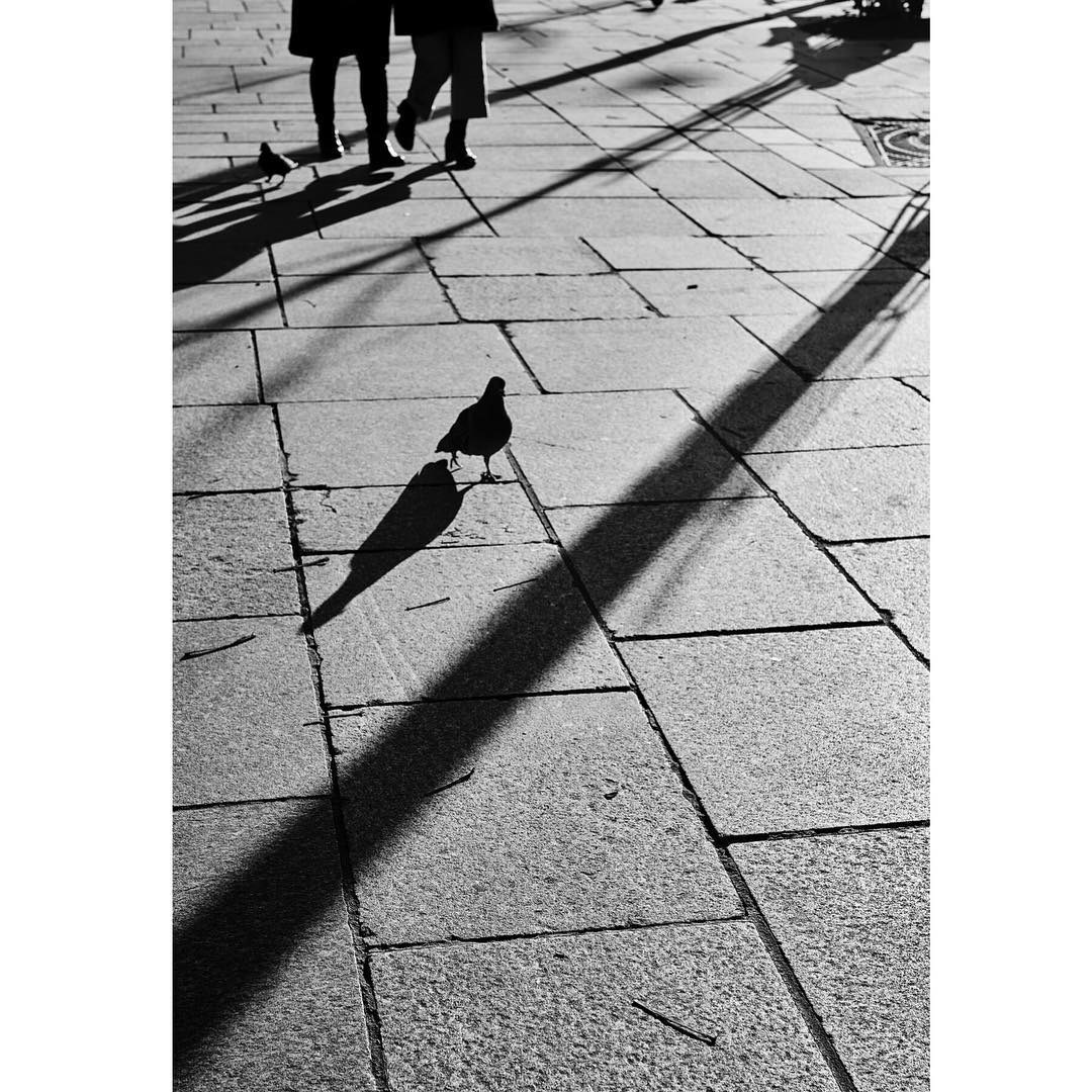 Paris: Download Error