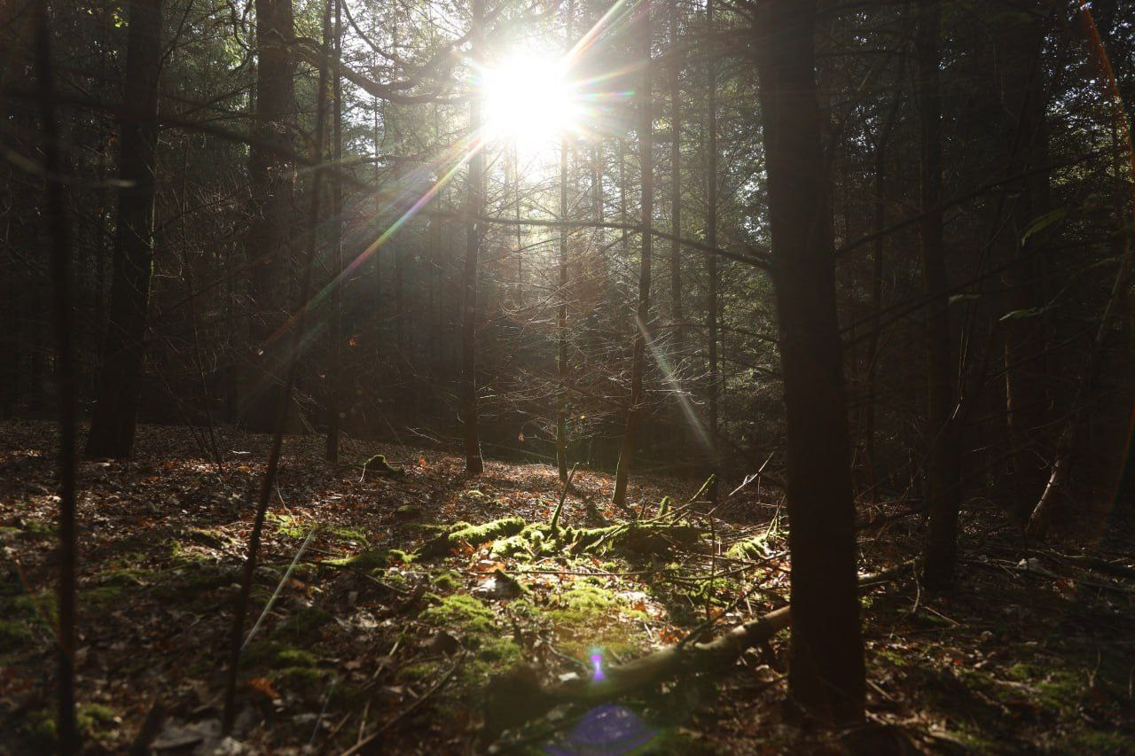 Марафон креативной фотографии. Vladimir Borele Photographer