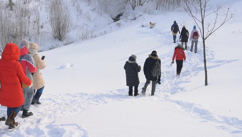 Субботники в Городищенском логу